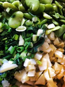 broad-bean, shallots, potatoes and corriander