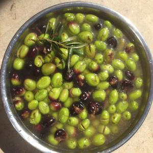 crushed olives soaking in  water