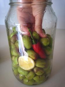 Packing olives firmly in jar