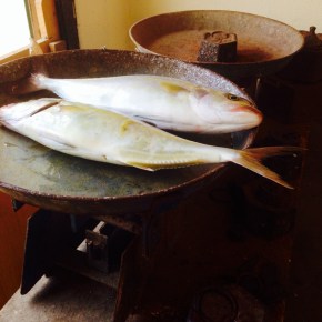 The fishmonger’s balance&nbsp;scales