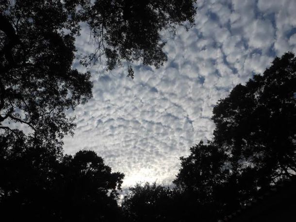 Photograph by ©David Macauley