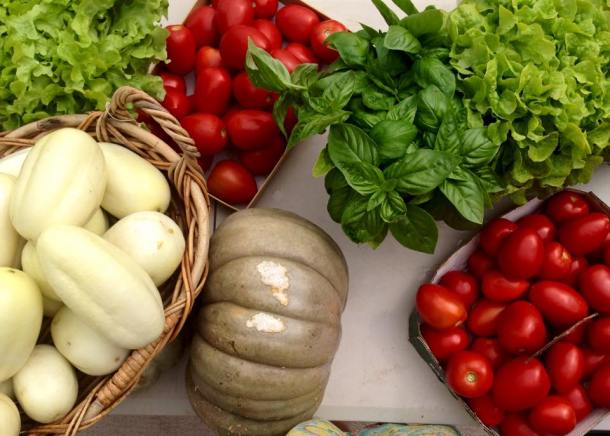Cucumbers, pumpkin, garden herbs and Roma tomatoes