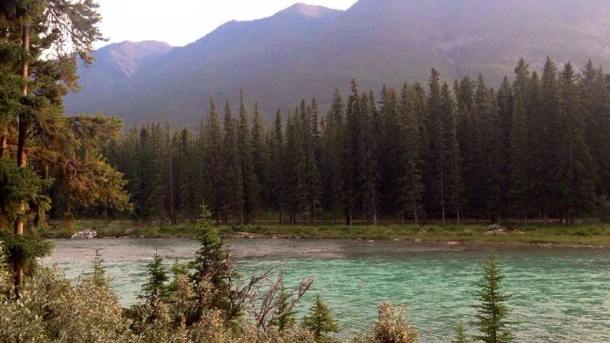 Photo by © Jessica Issa